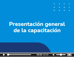 Parte General aplicable a todos los formularios - Adhesion al portal PBA desde usuario AFIP.