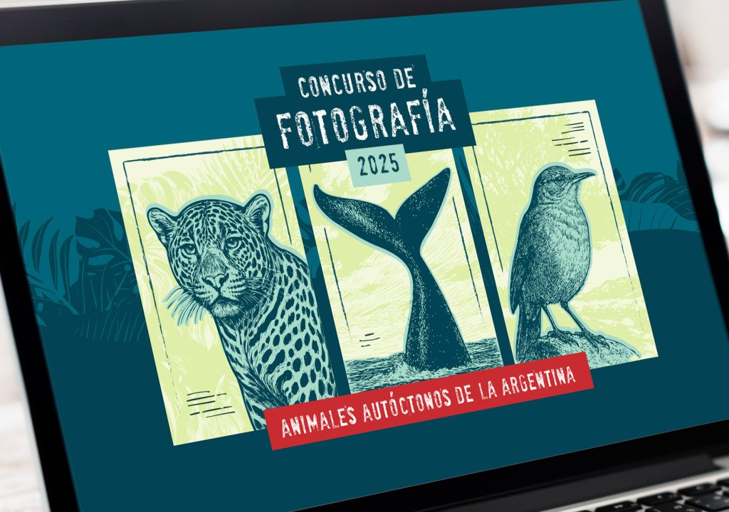 concurso-fotografia-2025-noticia